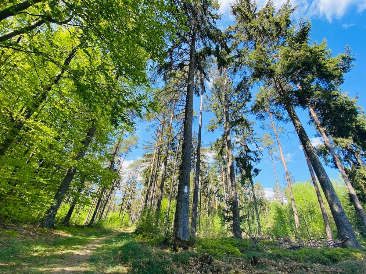 Pension Schmitt Waldfenster Esterno foto