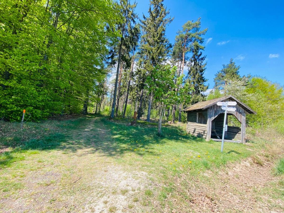 Pension Schmitt Waldfenster Esterno foto